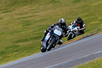 PJ-Motorsport-2019;anglesey-no-limits-trackday;anglesey-photographs;anglesey-trackday-photographs;enduro-digital-images;event-digital-images;eventdigitalimages;no-limits-trackdays;peter-wileman-photography;racing-digital-images;trac-mon;trackday-digital-images;trackday-photos;ty-croes